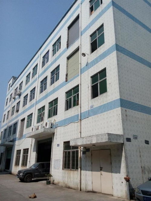 廣州市廠房結(jié)構(gòu)安全檢測公司哪家正規(guī)？工程設(shè)計需重視專業(yè)檢測